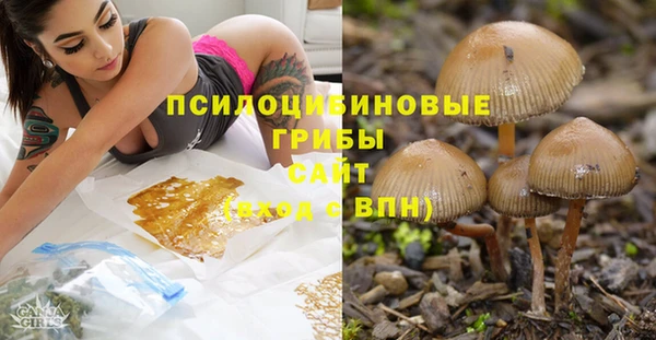 Альфа ПВП Нефтекумск