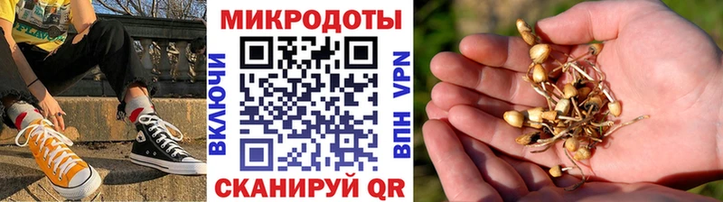 Галлюциногенные грибы GOLDEN TEACHER  Купить  Ардон 